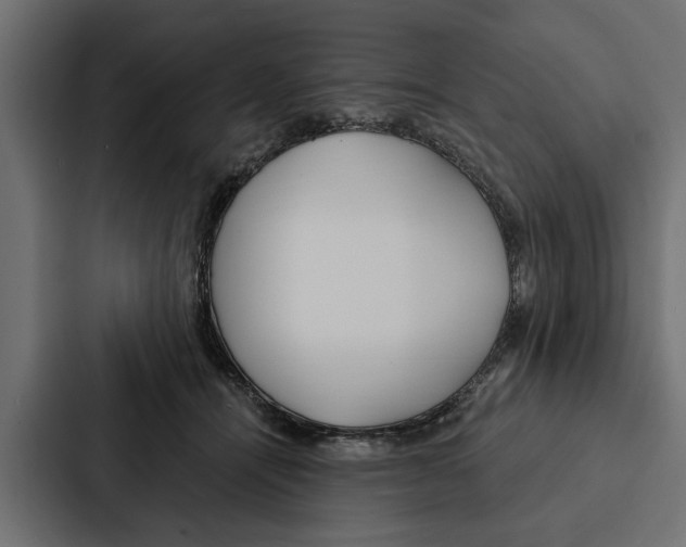 X0000087040464200705160934