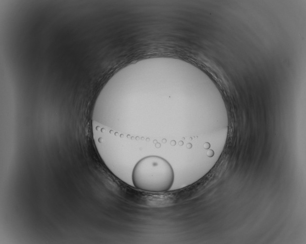 X0000087040465200705160934