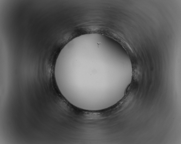 X0000087040476200705160934