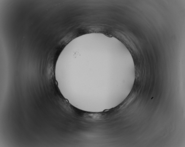 X0000087040478200705160934