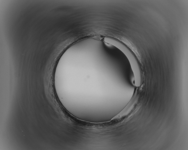 X0000087040481200705160933