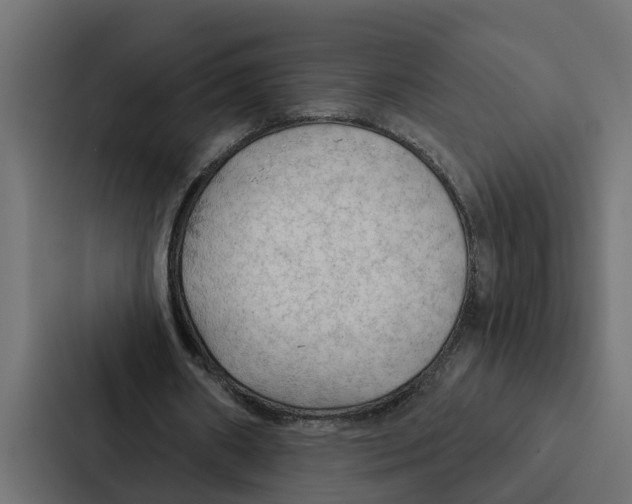 X0000087040482200705160933