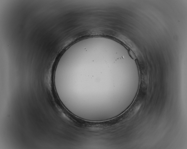 X0000087040485200705160933