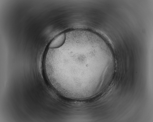 X0000087040487200705160933
