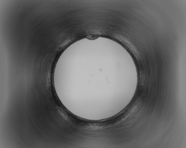 X0000087040489200705160933