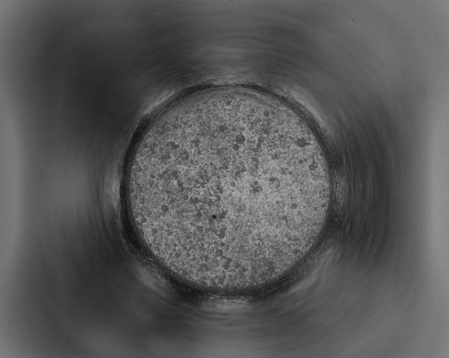 X0000087040491200705160933