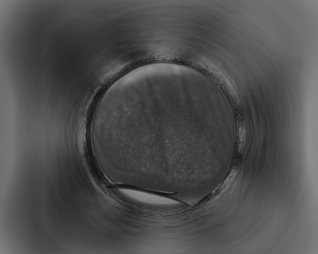 X0000087040492200705160933