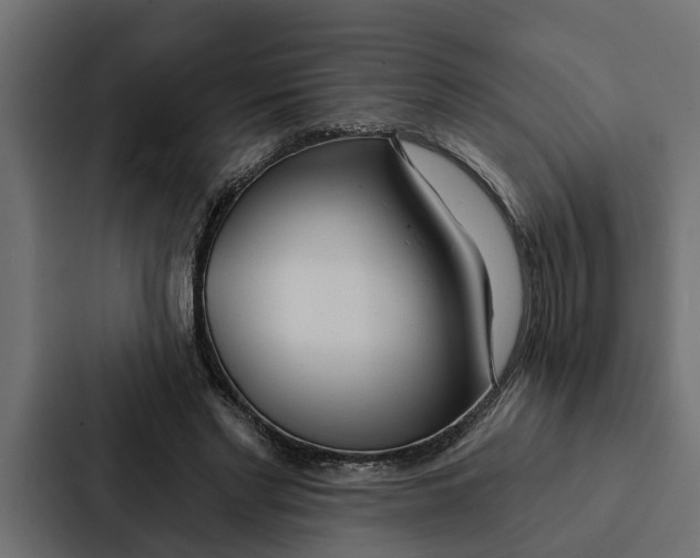 X0000087040493200705160933