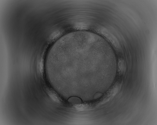 X0000087040494200705160933