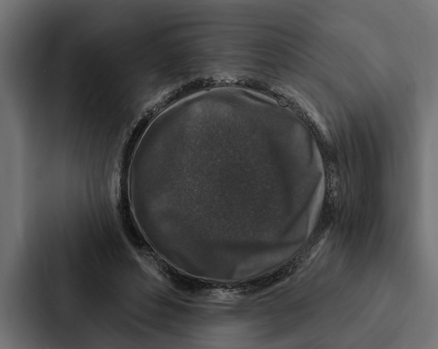 X0000087040496200705160933