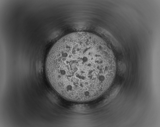 X0000087040499200705160933