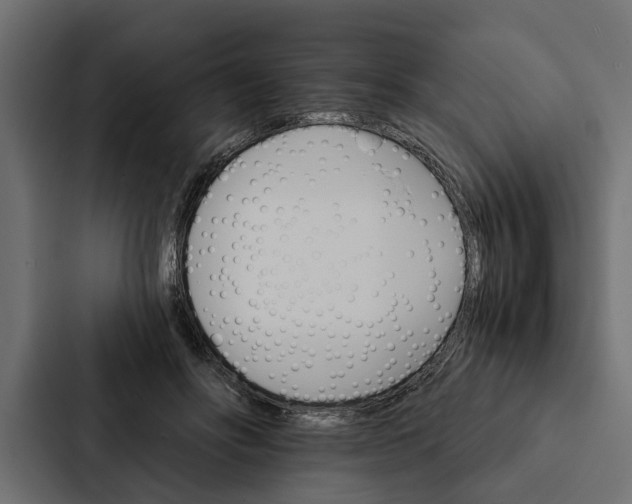 X0000087040502200705160933