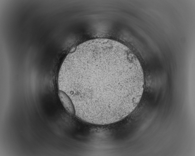 X0000087040503200705160933