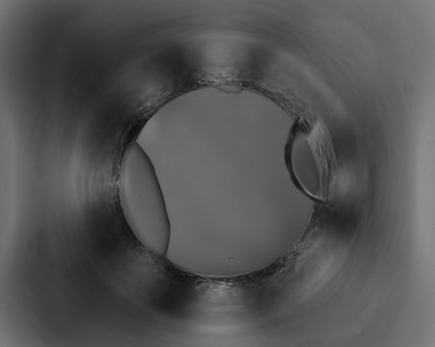 X0000087040507200705160933