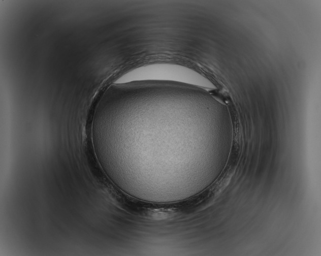 X0000087040508200705160933