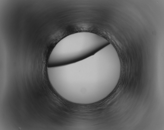 X0000087040509200705160933