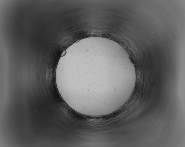 X0000087040511200705160933