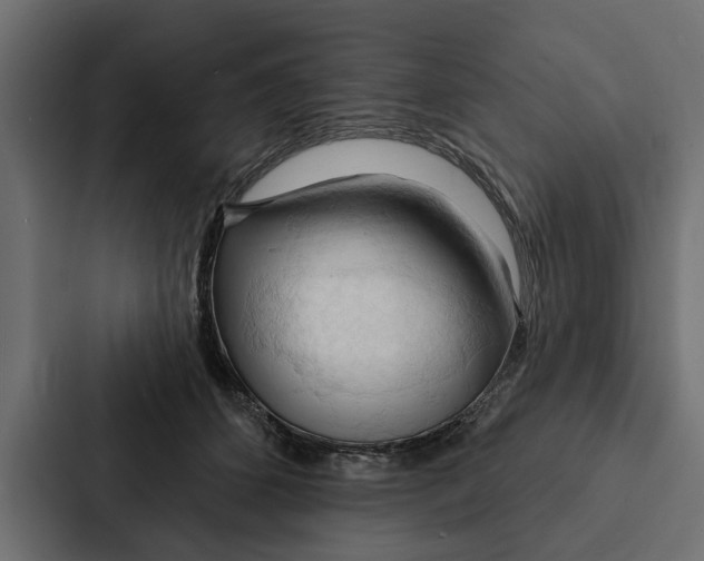 X0000087040512200705160933