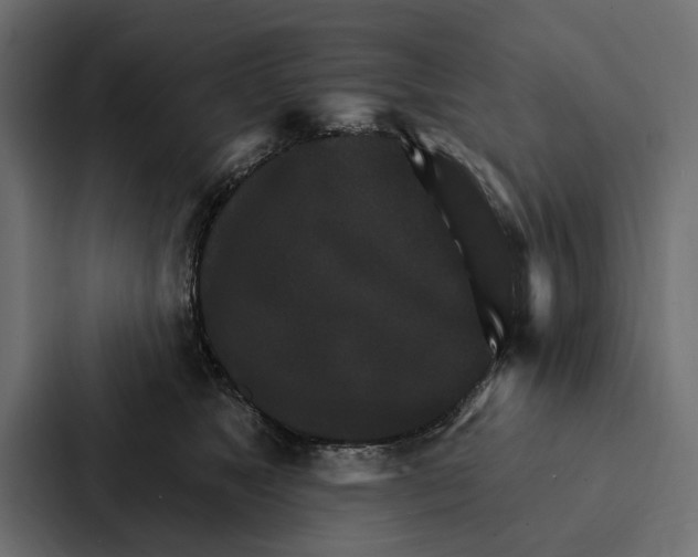 X0000087040517200705160933