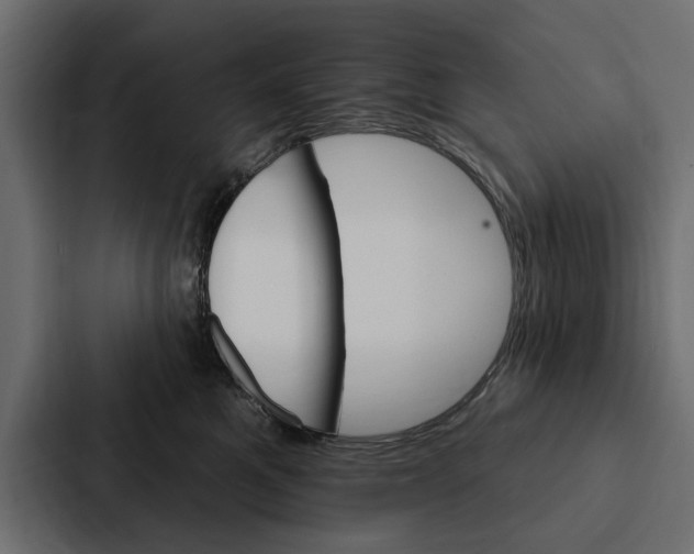 X0000087040521200705160933