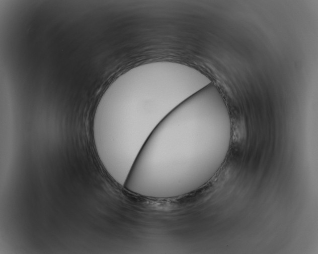 X0000087040524200705160933