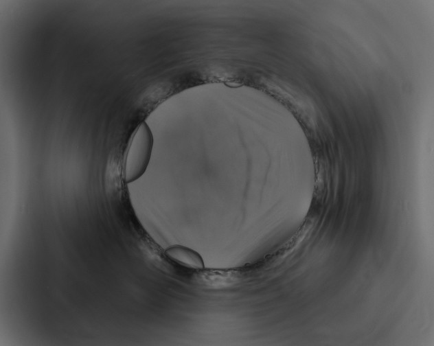 X0000087040526200705160933