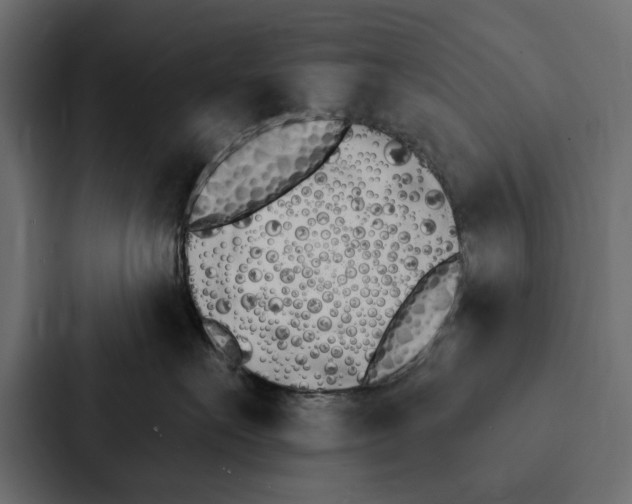 X0000087040527200705160933