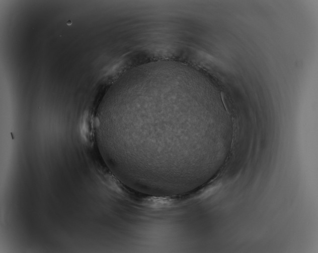 X0000087040528200705160933