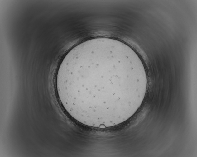 X0000087040529200705160932