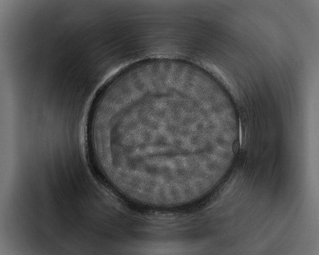 X0000087040531200705160932