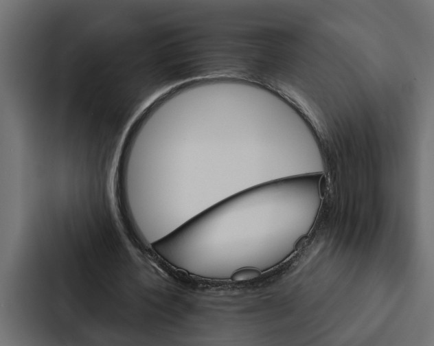 X0000087040532200705160932