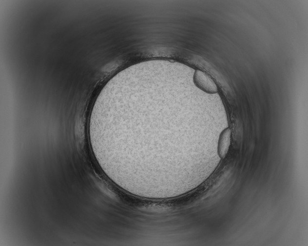 X0000087040537200705160932