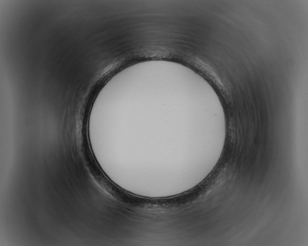 X0000087040538200705160932