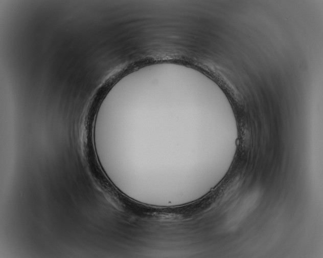 X0000087040539200705160932