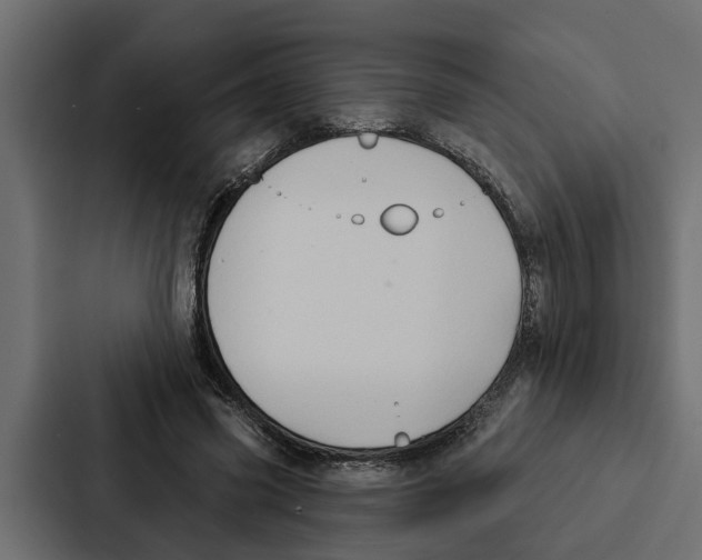 X0000087040541200705160932