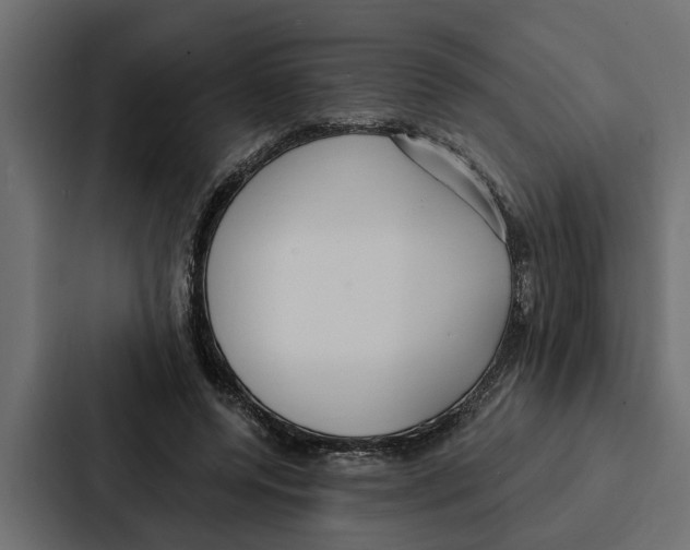 X0000087040544200705160932