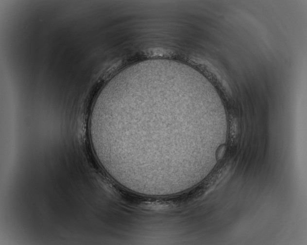 X0000087040545200705160932