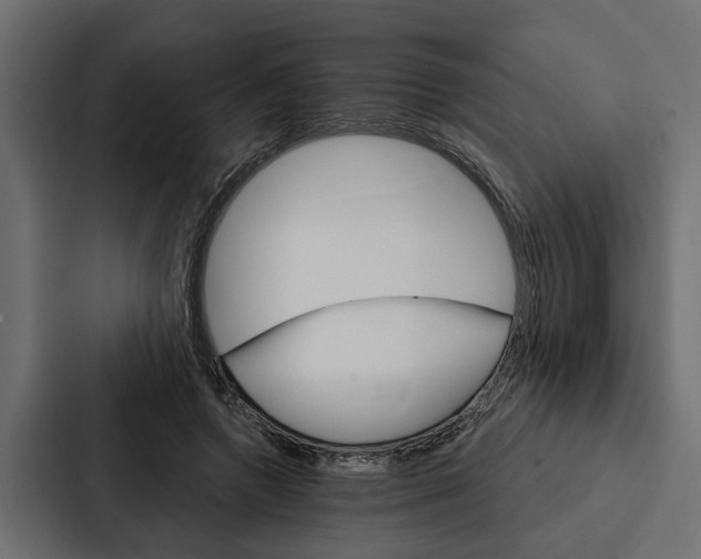 X0000087040546200705160932
