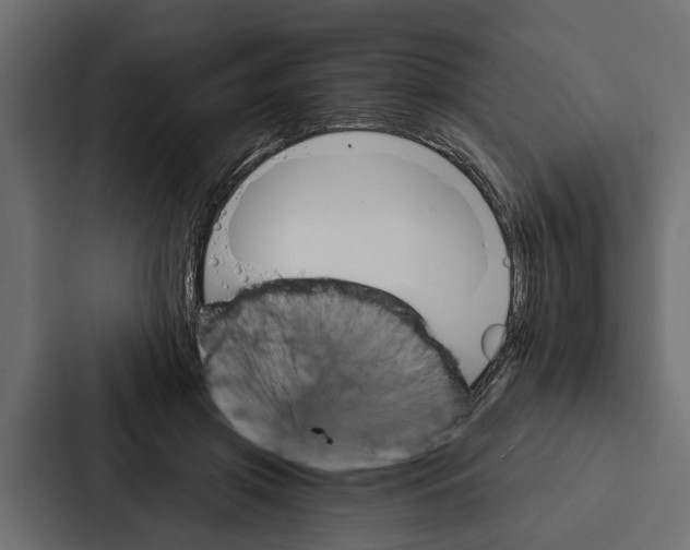 X0000087040549200705160932