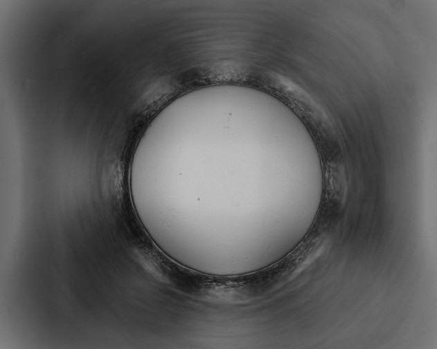 X0000087040550200705160932