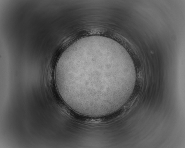 X0000087040554200705160932