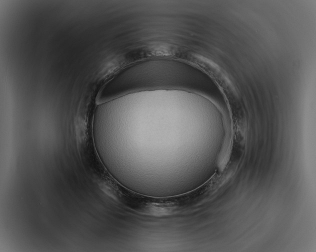 X0000087040556200705160933