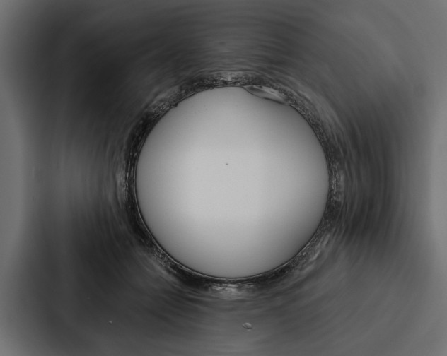 X0000087040558200705160933