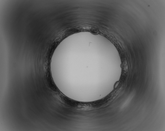 X0000087040559200705160933