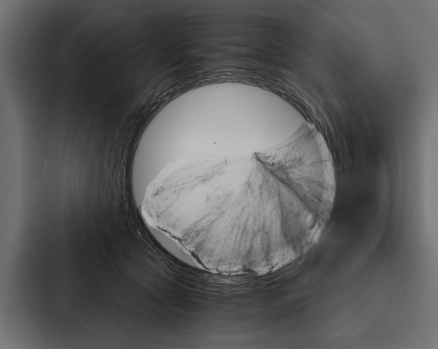 X0000087040561200705160933