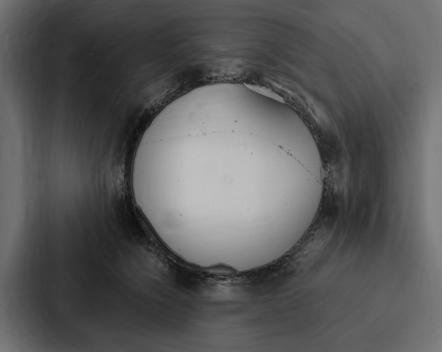 X0000087040564200705160933