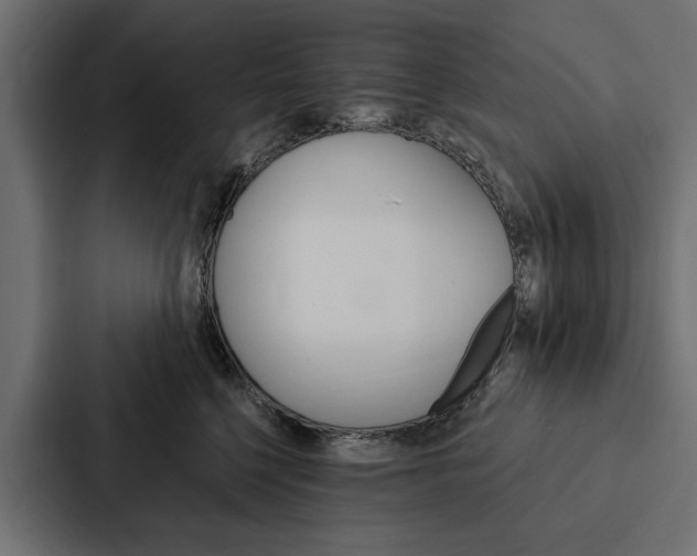 X0000087040568200705160933