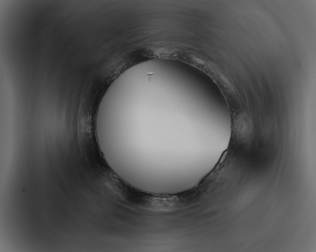 X0000087040571200705160933