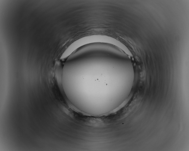 X0000087040572200705160933