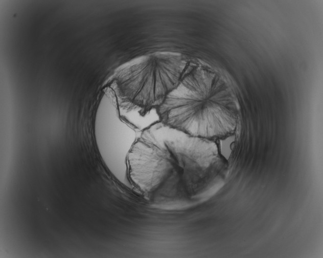 X0000087040573200705160933